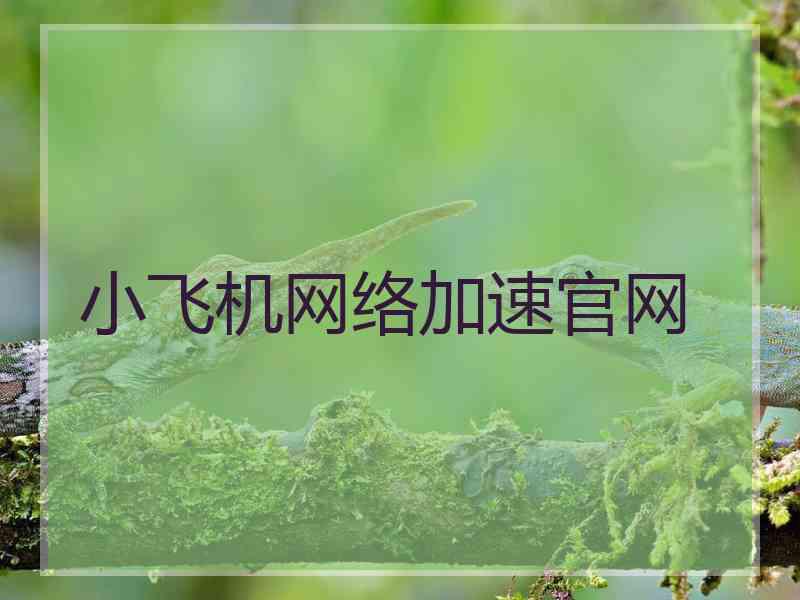 小飞机网络加速官网