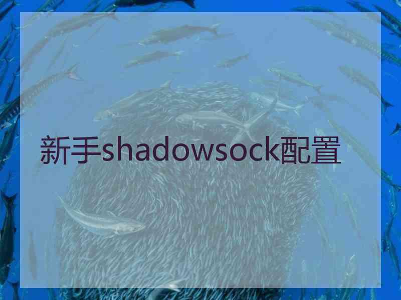 新手shadowsock配置